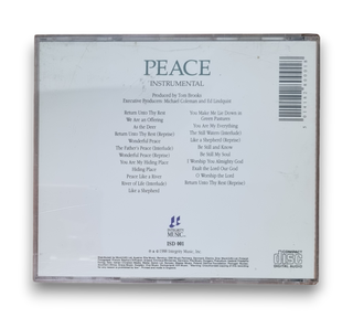 Experience Peace Instrumental