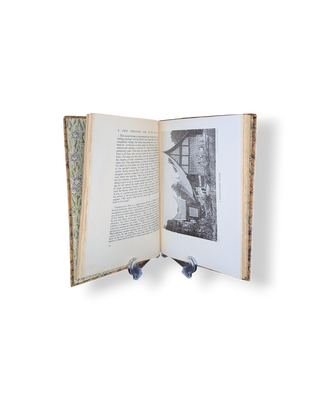 A Trip Through the Dutch East Indies