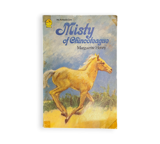 Misty of Chincoteague