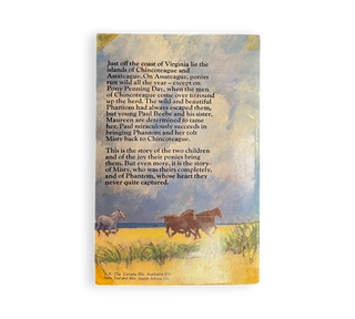 Misty of Chincoteague