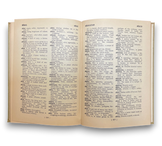 Malay-English Dictionary