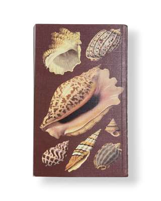 The Hamlyn Guide to Shells of the World
