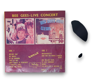 Live Concert