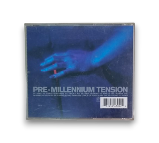 Pre-Millennium Tension