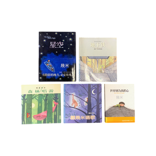 Bundle of 5 Picture Books by Jimmy Liao (幾米)
