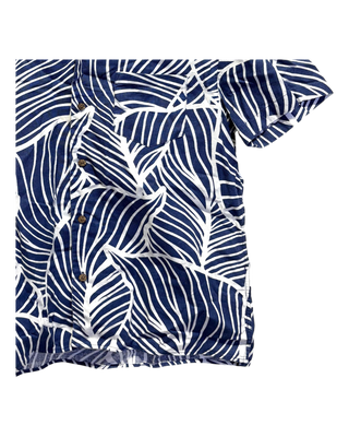 Celio*