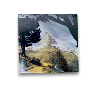 Felt Mountain
