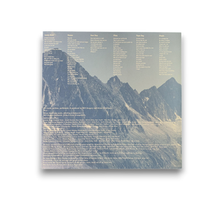 Felt Mountain