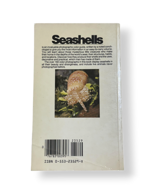 Seashells