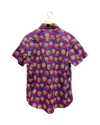 Bonobos
