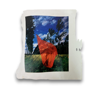 Wish You Were Here