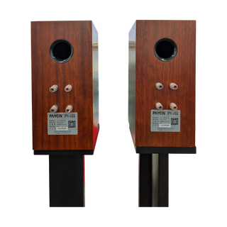 PAIYON P6 Bookshelf Speakers