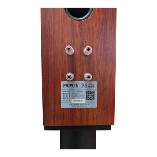 PAIYON P6 Bookshelf Speakers