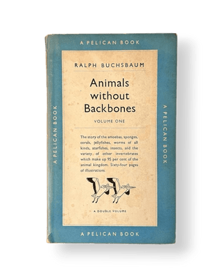 Animals Without Backbones - Thryft