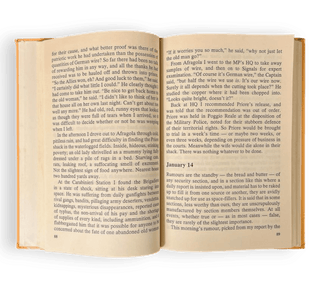 Naples '44: An Intelligence Officer in the Italian Labyrinth - Thryft