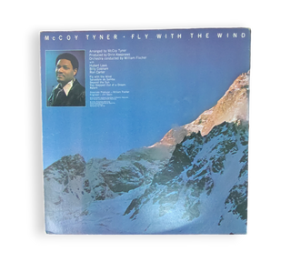Fly With The Wind