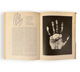 The Hand and the Horoscope - Thryft
