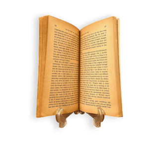 The Red Book and the Great Wall - Thryft