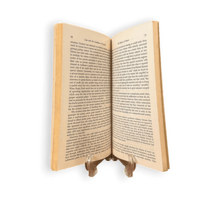 Law and the Conditions of Freedom in the Nineteenth-Century United States - Thryft