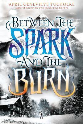 Between The Spark And The Burn - Thryft