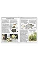 Eyewitness Handbook: 09 Aquarium Fish - Thryft
