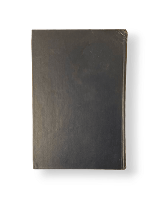 Critical Essays in Monetary Theory - Thryft