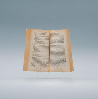 Plato: The Republic - Thryft