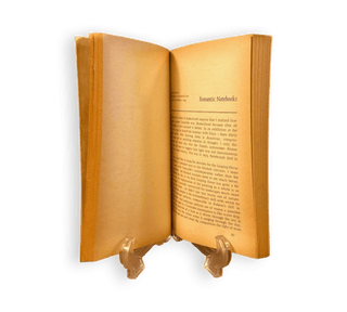 Selected Essays and Articles: The Look of Things - Thryft