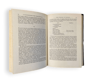 Critical Essays in Monetary Theory - Thryft