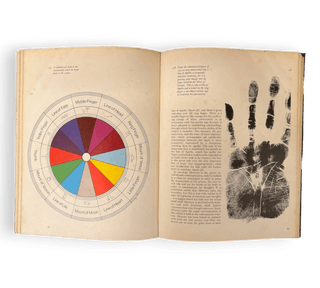 The Hand and the Horoscope - Thryft